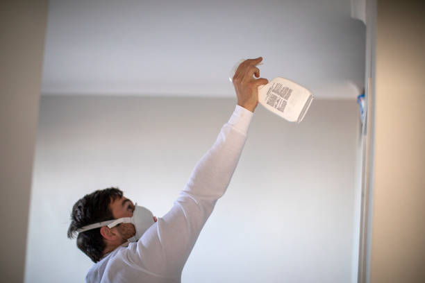 Best Local Mold Removal Service  in Bella Vista, CA