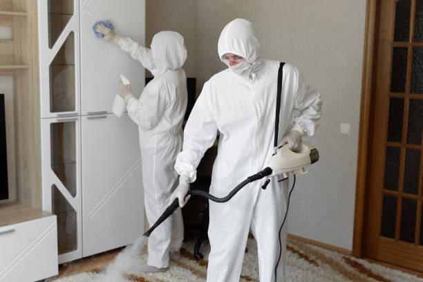 Professional Mold Removal in Bella Vista, CA