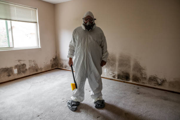 Best Mold Testing  in Bella Vista, CA