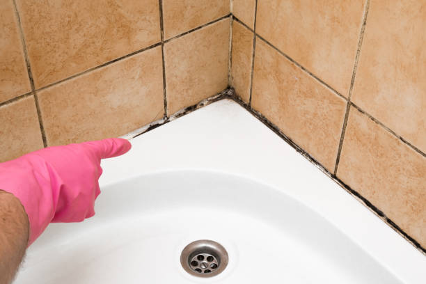 Best Mold Cleaning Services  in Bella Vista, CA